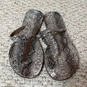 Women’s size 9 snake print sandals